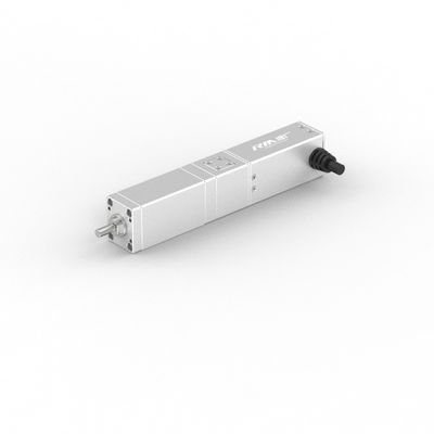 Actuateur linéaire électrique droit de haute précision de la série RM-SLA de RobustMotion avec servo-moteur, 50/100 mm de course, IP40