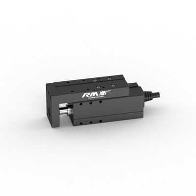 RobustMotion RM-NPLA cylindre industriel miniature électrique de type table avec une excellente capacité de charge