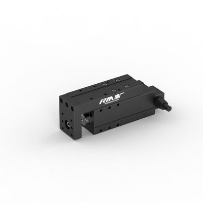 Actuateur linéaire de type micro-plateforme RM-NPLA, Servo-cylindre électrique pour tirer, pousser et presser