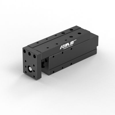 Actuateur linéaire électrique RM-NPLA, actuateur linéaire de type micro-plateforme, à grande vitesse et stable