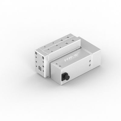 Actuateur linéaire à cylindre électrique RM-RPLA RobustMotion
