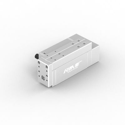Actuateur linéaire industriel électrique RM-RPLA RobustMotion avec contrôleur intégré, puissance maximale de sortie 300N