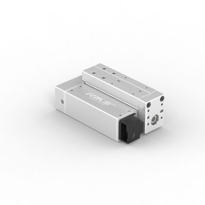 RobustMotion Single Axis Electric Linear pour le RM-RPLA à longue course, à grande vitesse et à haute précision